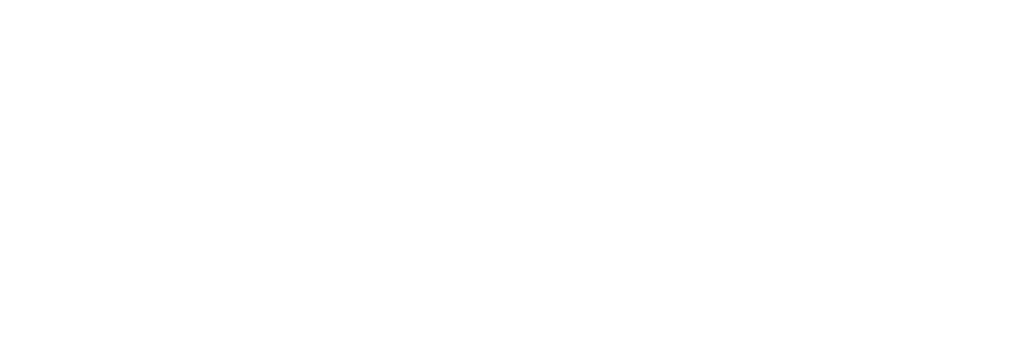RSANTOS TELECOM